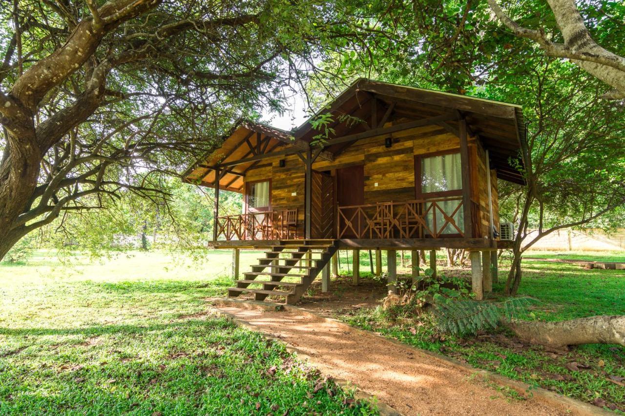 Eighth Wonder Resort Sigirija Zewnętrze zdjęcie