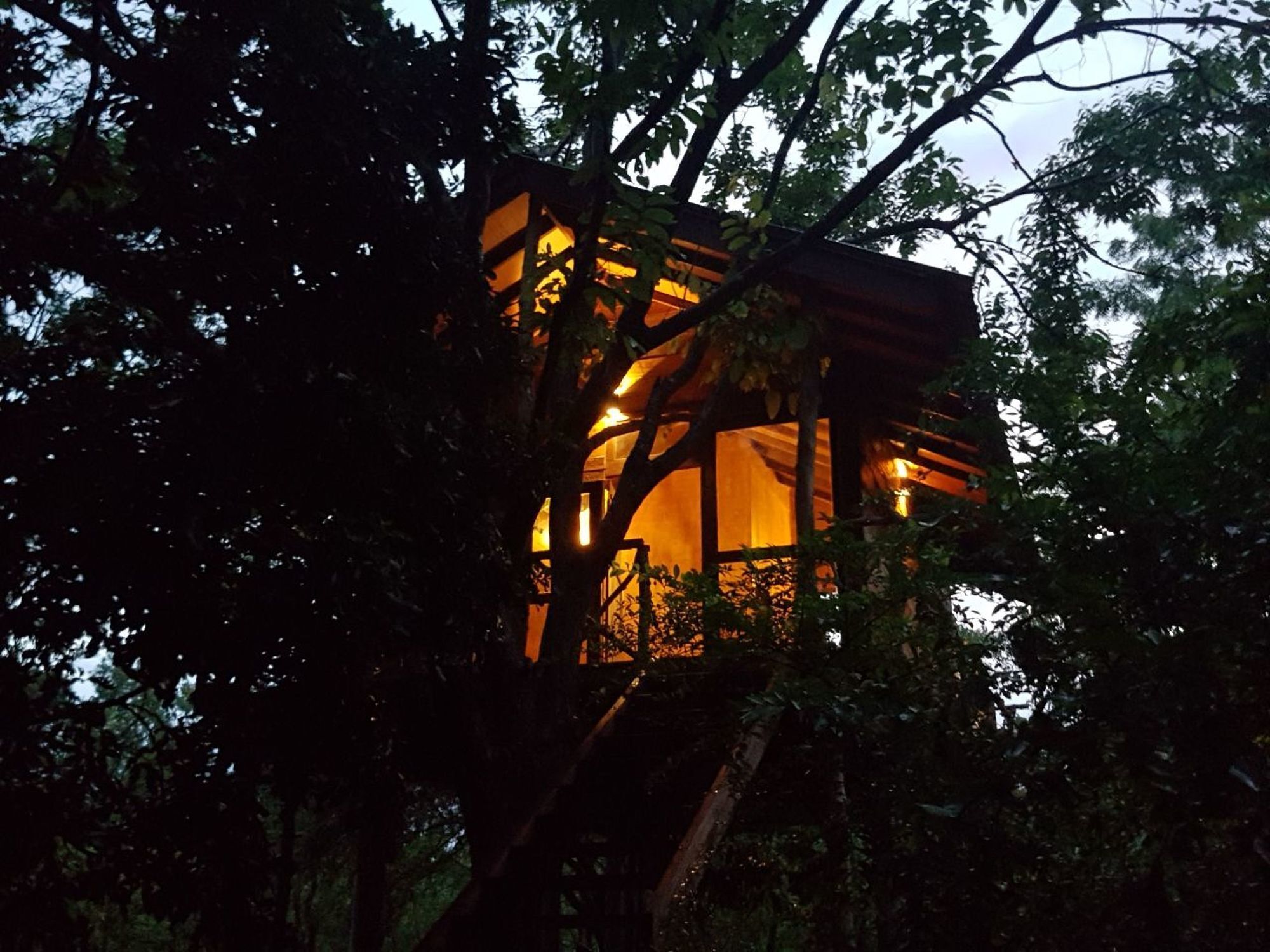 Eighth Wonder Resort Sigirija Zewnętrze zdjęcie