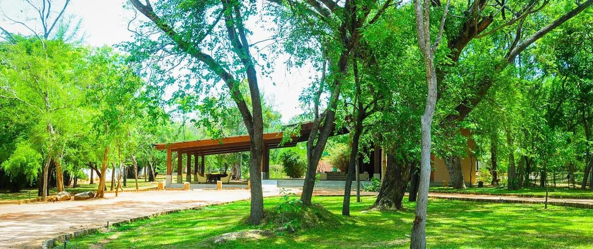 Eighth Wonder Resort Sigirija Zewnętrze zdjęcie