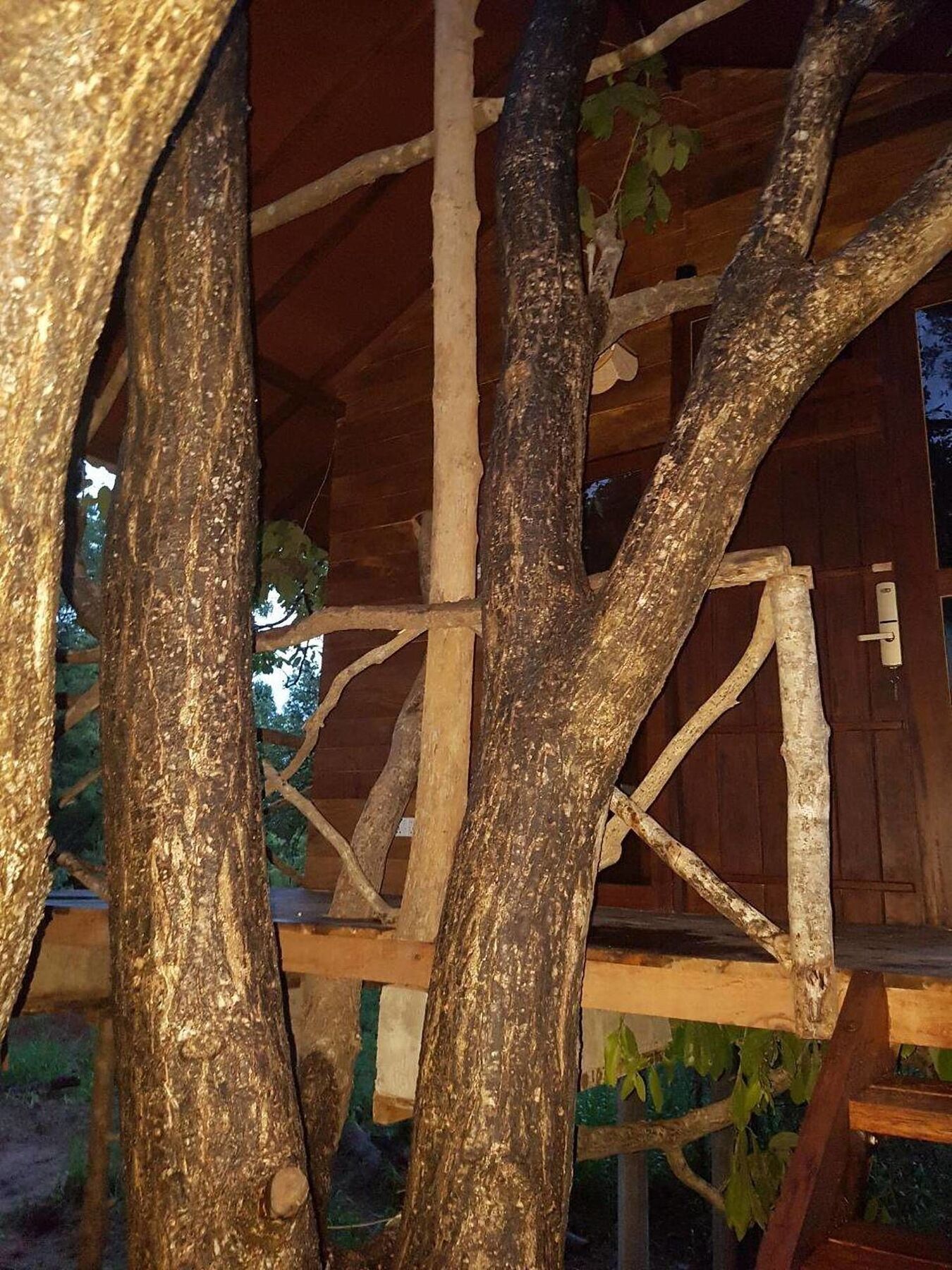 Eighth Wonder Resort Sigirija Zewnętrze zdjęcie